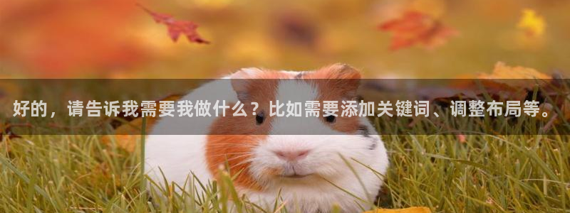 多彩娱乐的意思