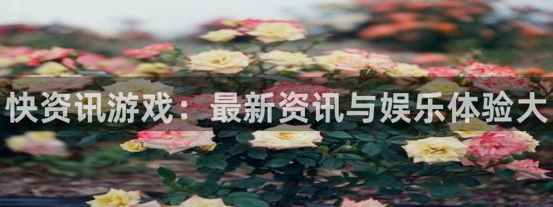 多彩娱乐2登录：快资讯游戏：最新资讯与娱乐体验大