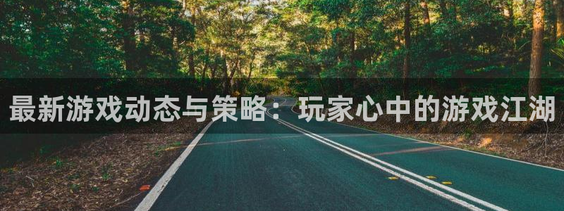 多彩娱乐官网登录：最新游戏动态与策略：玩家心中的游戏江湖