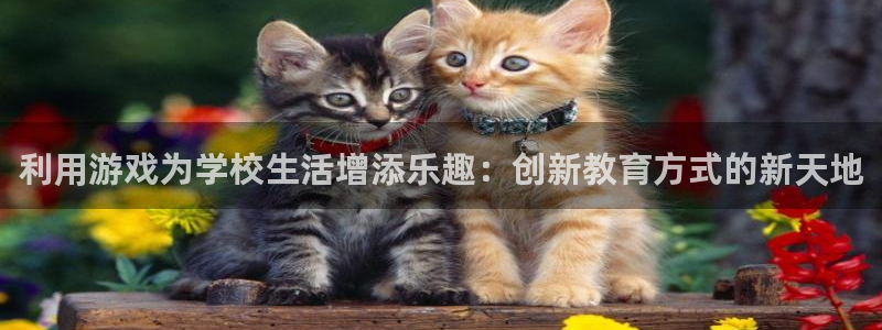 多彩娱乐注册平台：利用游戏为学校生活增添乐趣：创新教育方式的
