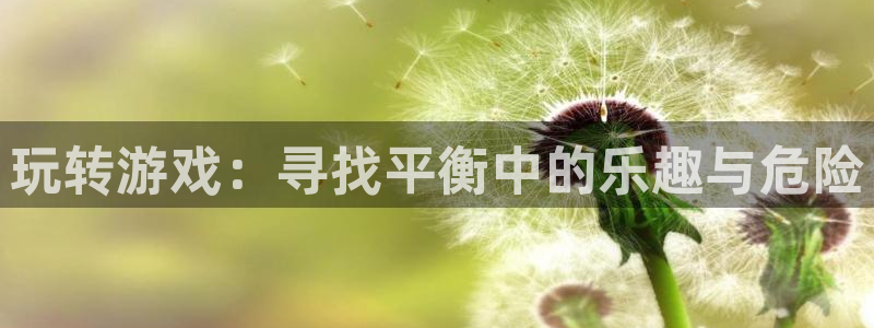 沐春多彩娱乐：玩转游戏：寻找平衡中的乐趣与危险