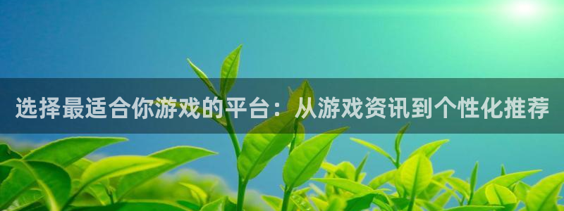 多彩娱乐4招商：选择最适合你游戏的平台：从游戏资讯到个性化推