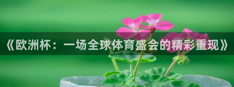 88看球吧直播：《欧洲杯：一场全球体育盛会的精彩重现》