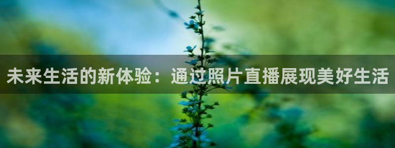 310看球吧直播nba：未来生活的新体验：通过照片直播展现美好生活